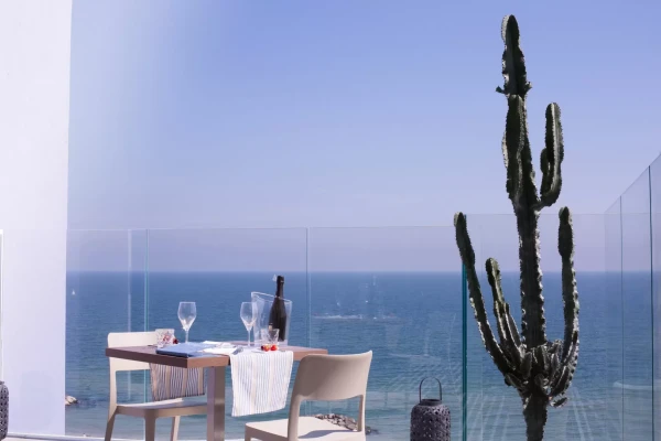 Tavolo apparecchiato su una terrazza con vista mare e un grande cactus.