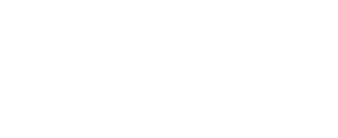 Immagine bianca completamente vuota.